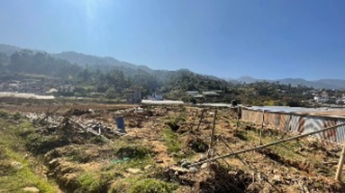 レレの復興・被災状況(12月初旬時点)