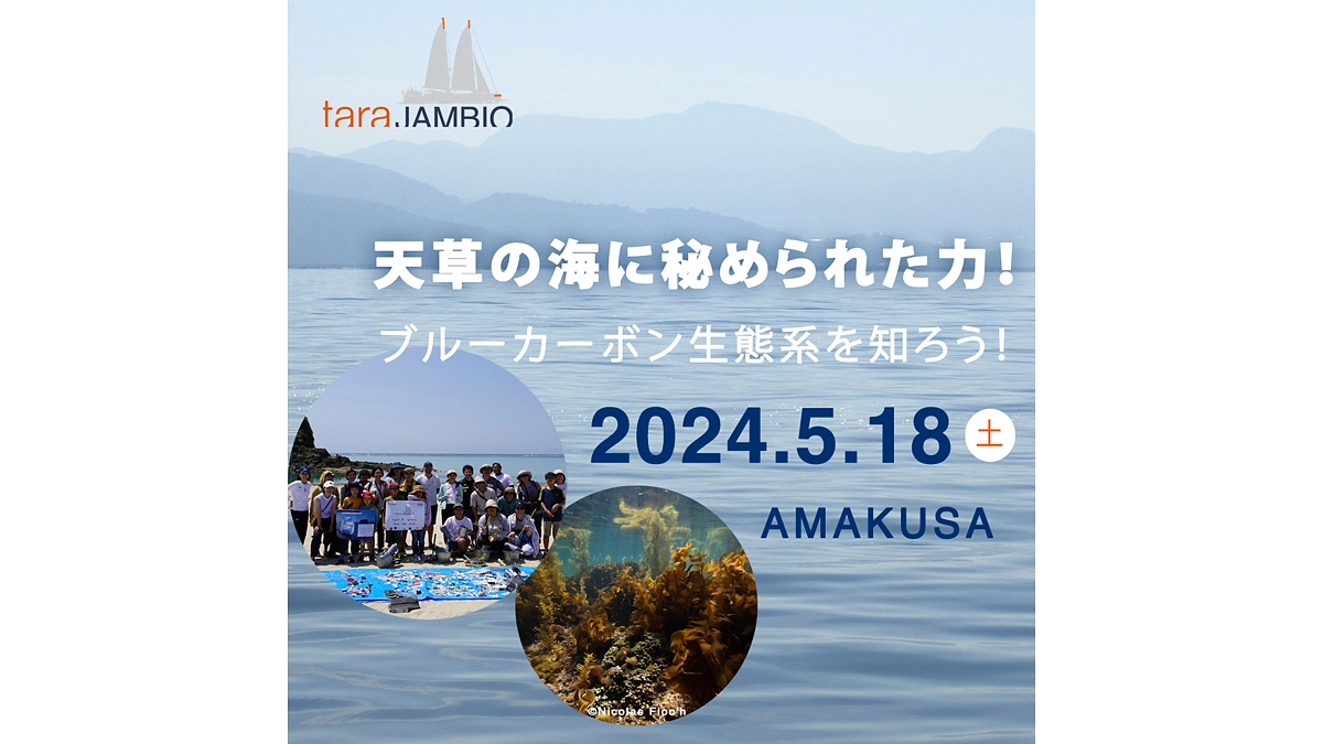 イベント情報：天草の海に秘められた力！ブルーカーボン生態系を知ろう！
