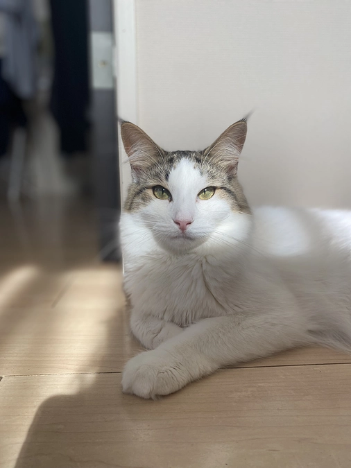 プロジェクトスタートしました！