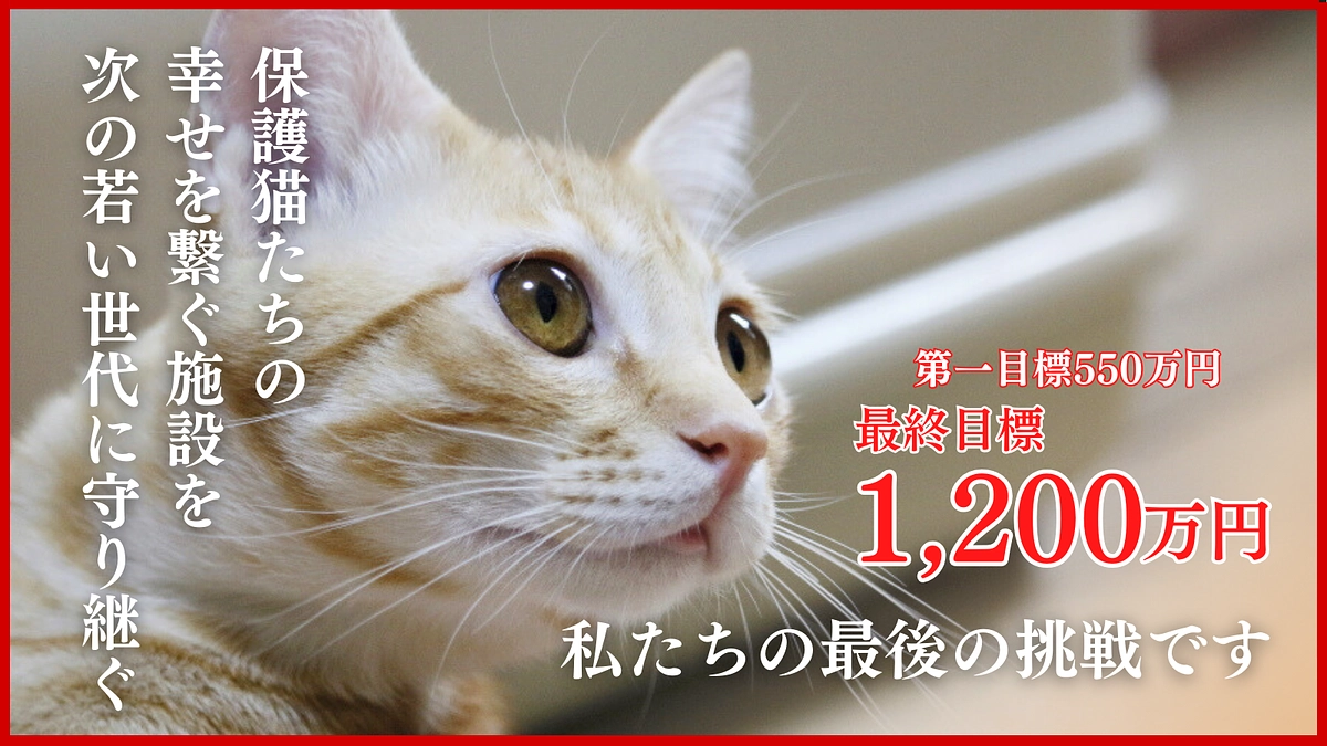 新玉旅館女将さんの覚悟のクラウドファンディング挑戦中！皆さんからの応援をよろしくお願いします！