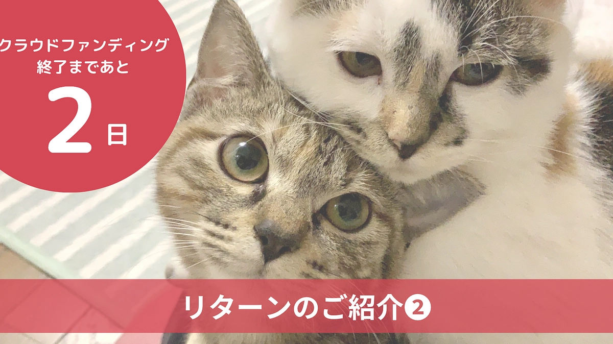 残り2日となりました。リターンのご紹介です。