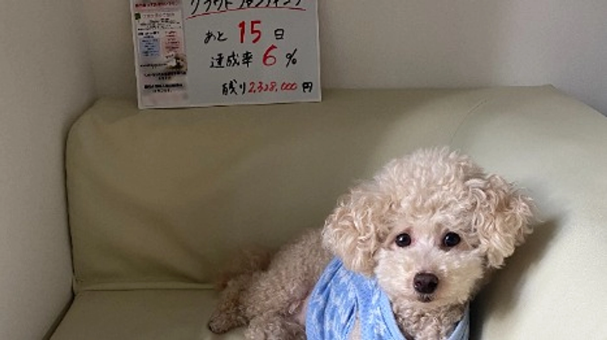 【クラファン残り15日】盲点…