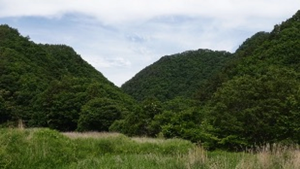 募集を終了致しました。