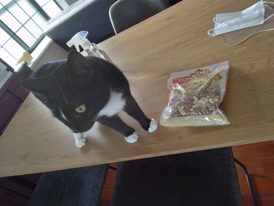 6/18はなちゃんの様子