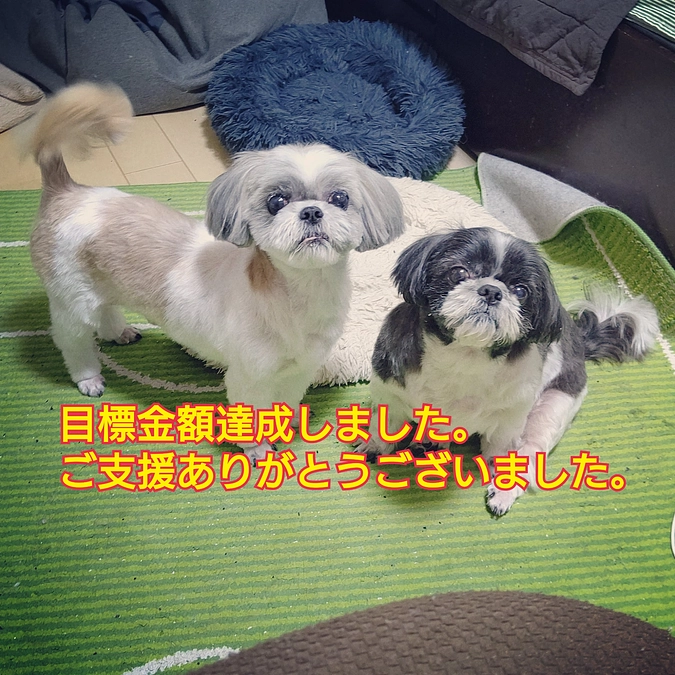 目標金額達成しました。ありがとうございます。