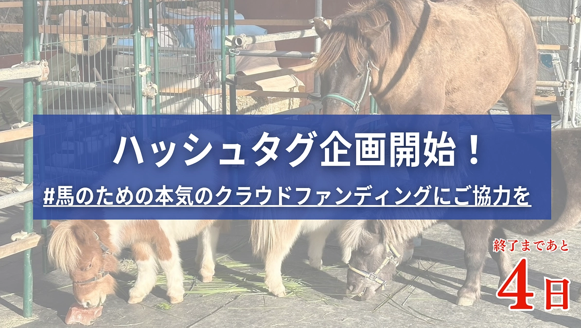 ハッシュタグ企画にご参加ください！皆様の拡散が力になります