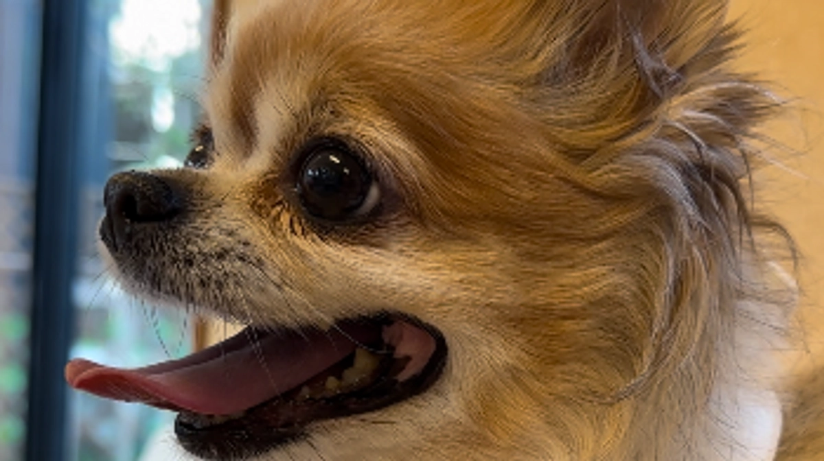 6/30～7/9までのご支援者様(代理支援)【活動報告25日目】