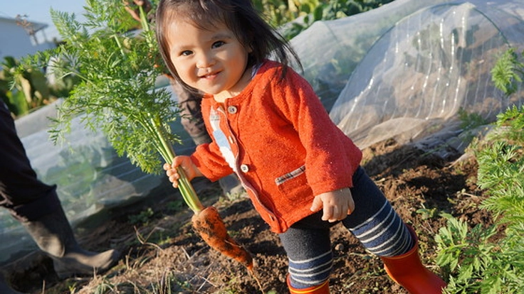 畑は農業を魅せる場所！子どもが安心して過ごせる農園へ育てたい