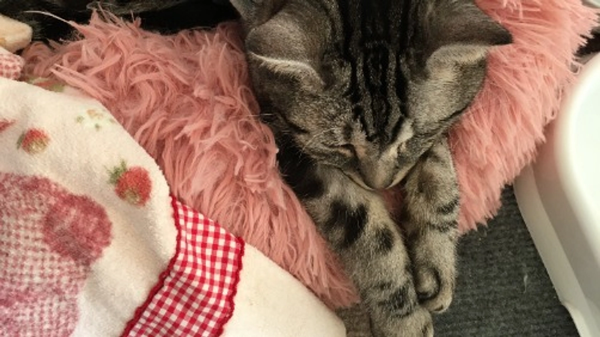 今夜と明日は随分と