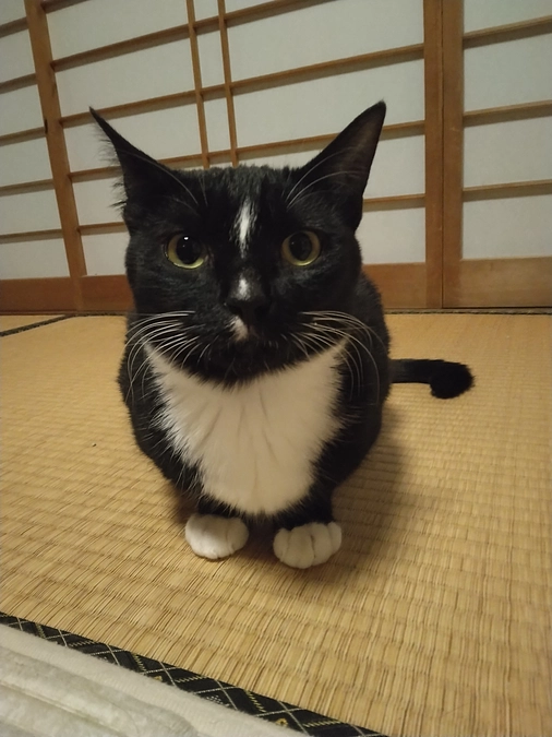 4/26はなちゃんの様子