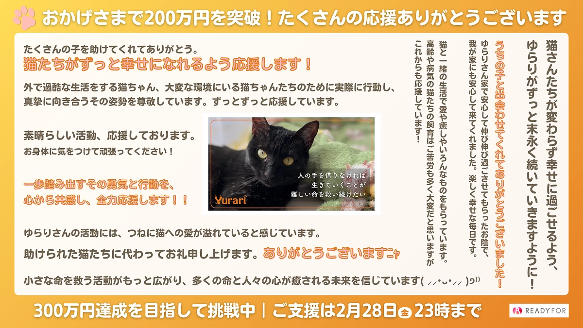 【経過報告｜200万円を突破しました！】〜応援コメントのご紹介〜