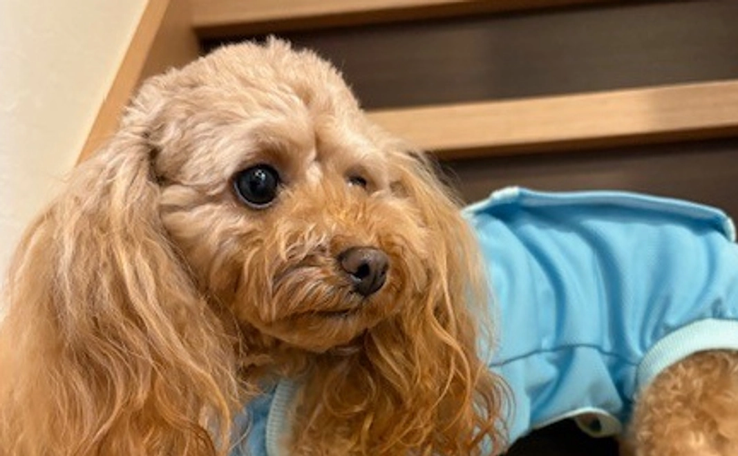 ゆむのサポーターになってください！No.8