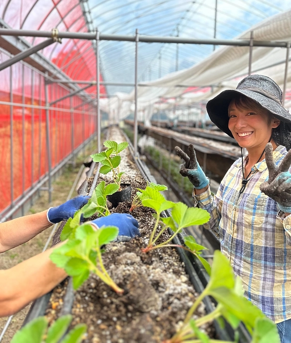【活動報告⑯】いちごの苗がすべて到着しました