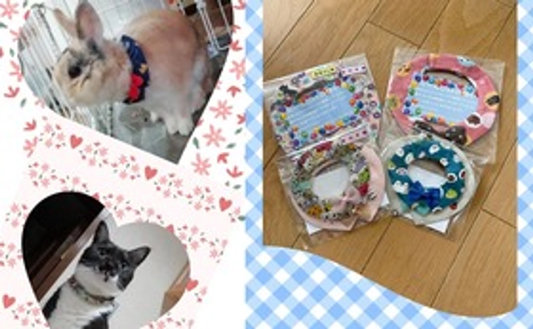 ☆感謝のメール&かわいい猫衿☆