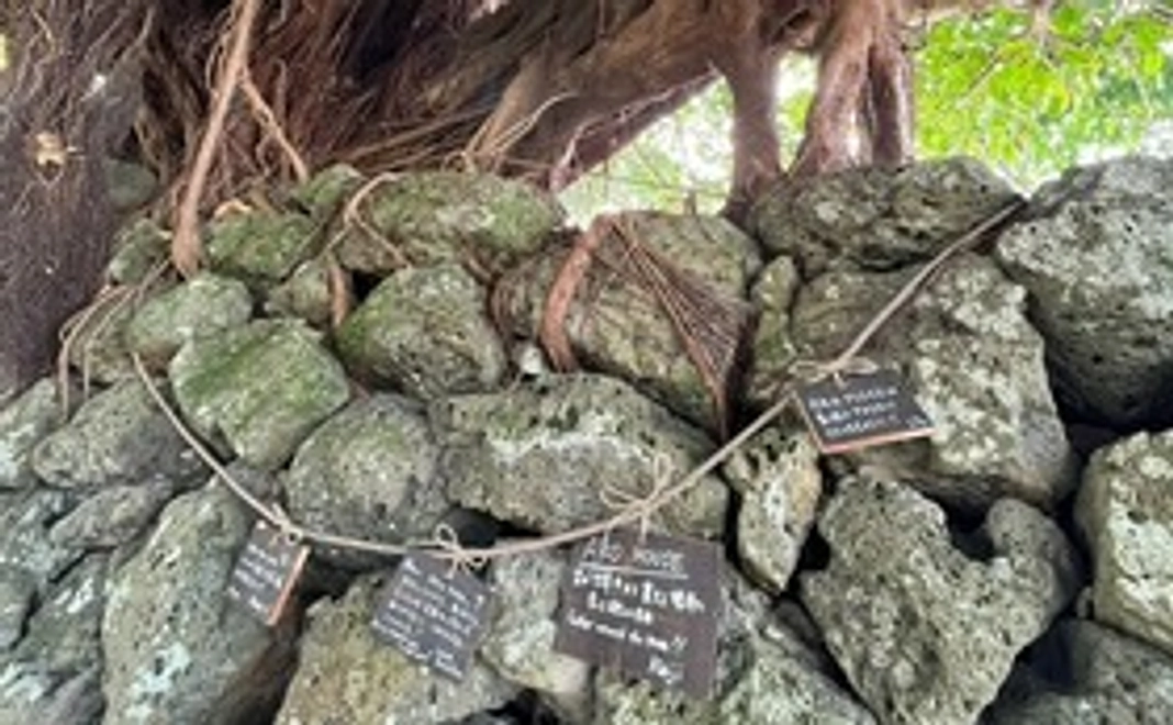 3000円：アコウの樹に廃材をリサイクルした絵馬を飾ります