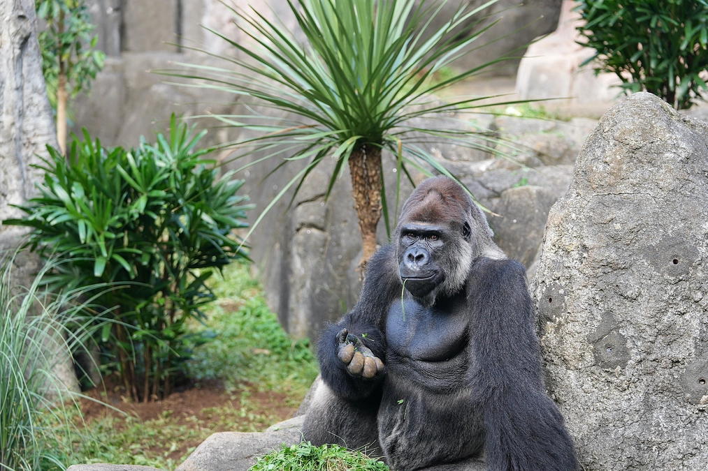 第一回展示場植樹しました！