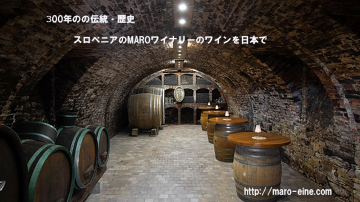 300年の歴史を継承し十字軍も愛したスロベニアのワインを日本に