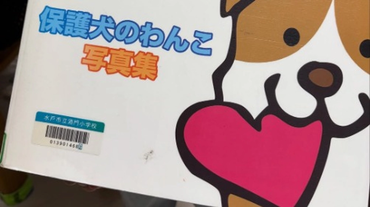 初めてのクラファンは「写真集」でした！