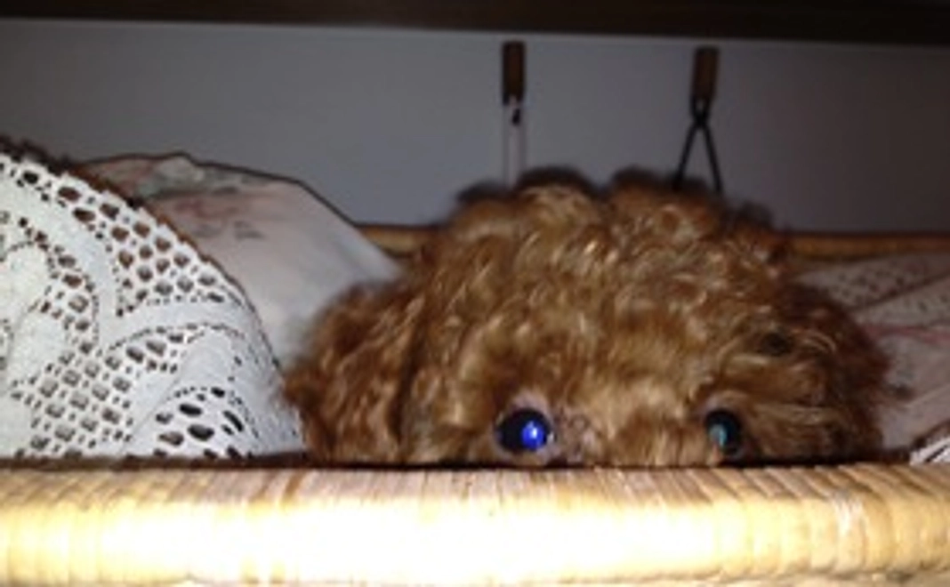 コロンくんのご支援を宜しくお願い致します②