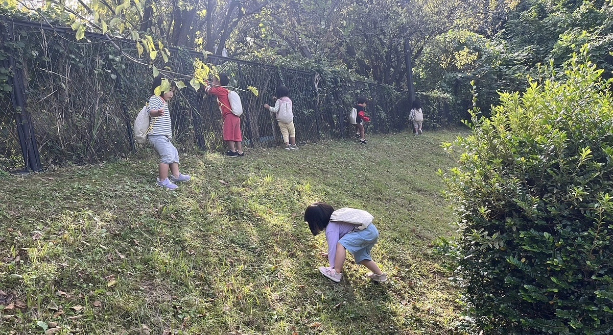 まるでおばあちゃんの家に遊びに行ったかのような温かい場所