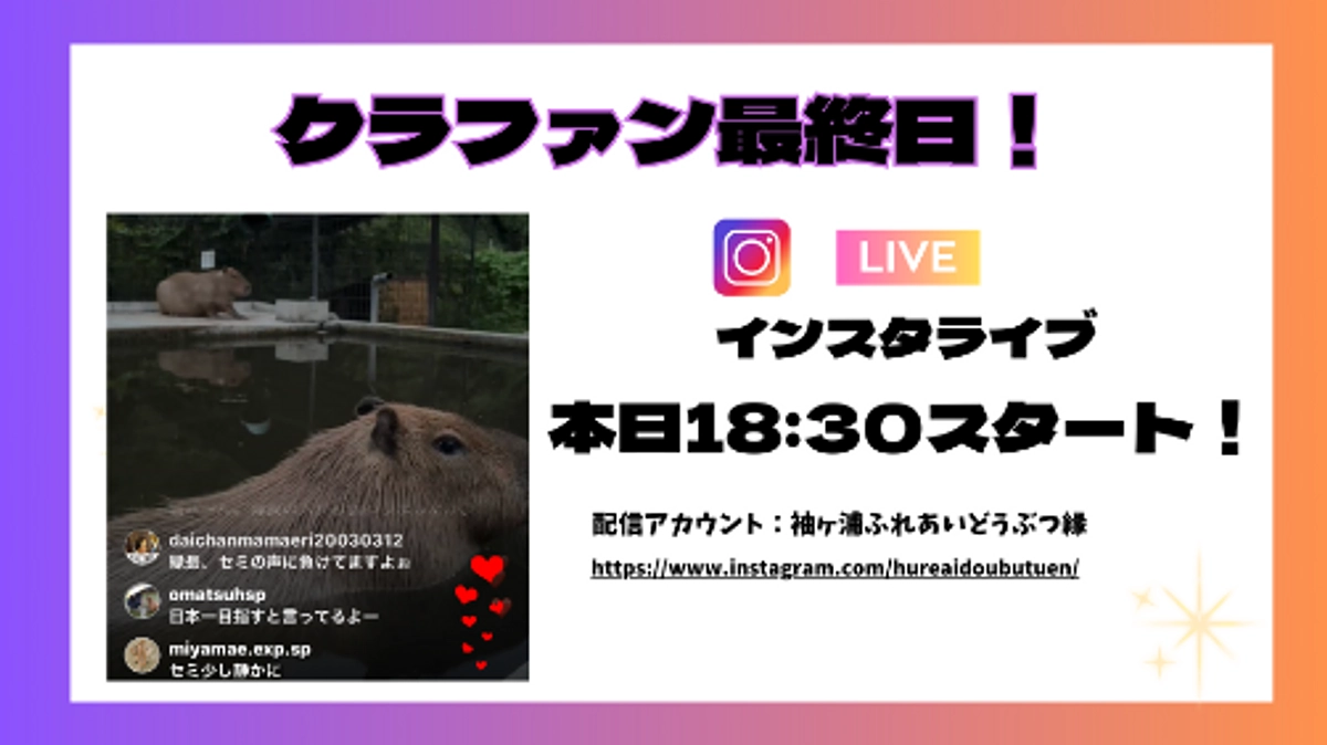 最終日！ふれあいどうぶつ縁インスタライブを行います！
