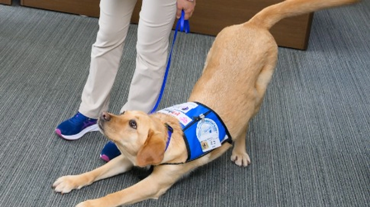 第２目標達成の御礼と今後の活動について