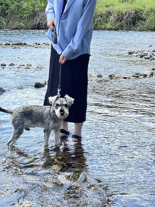 ありえないこと