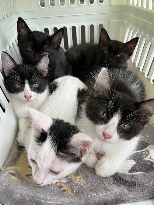 【終了まで残り5日】いつも応援メッセージにパワーをいただいています。