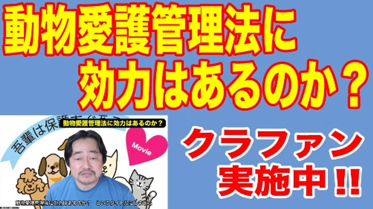 「動物愛護管理法に効力はあるのか？」～保護わんのちょいコメ③