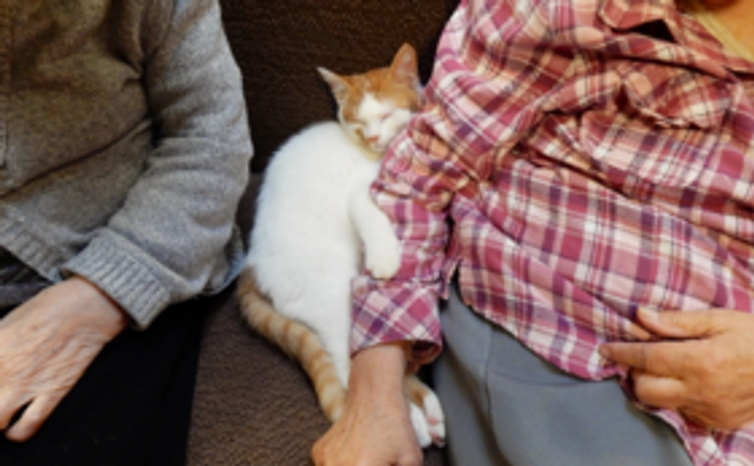 【プロジェクトの応援コース】