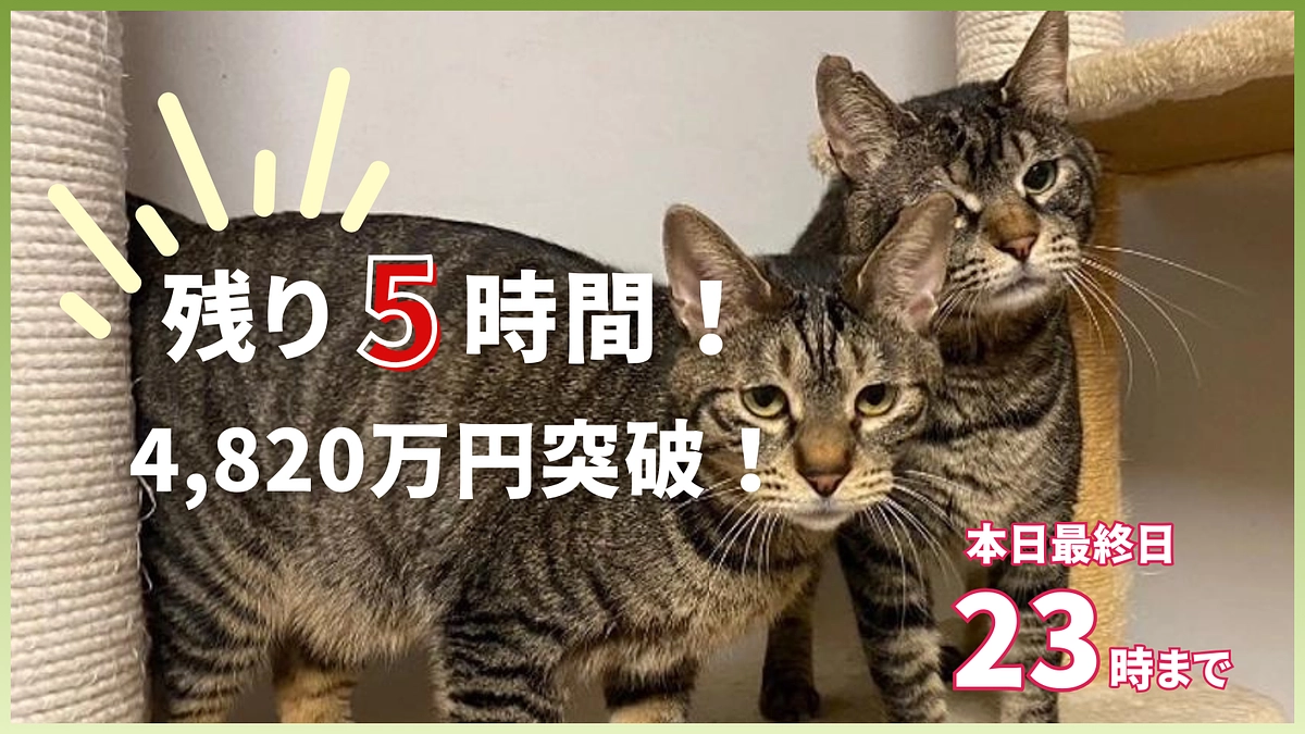 残り5時間｜できることはすべてやり切りたい