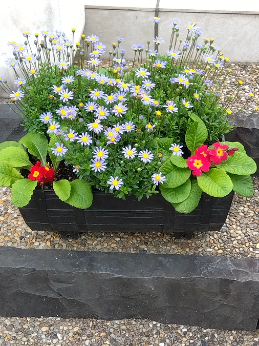 まずは「よしとする🙌💞」