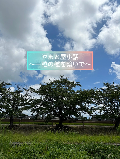 やまと屋農園小話 〜一粒の種を繋いで〜