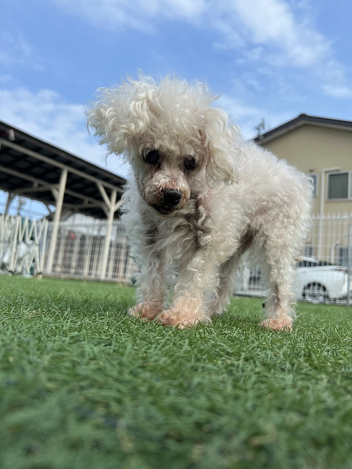 ＨＰ作ってもらいました。