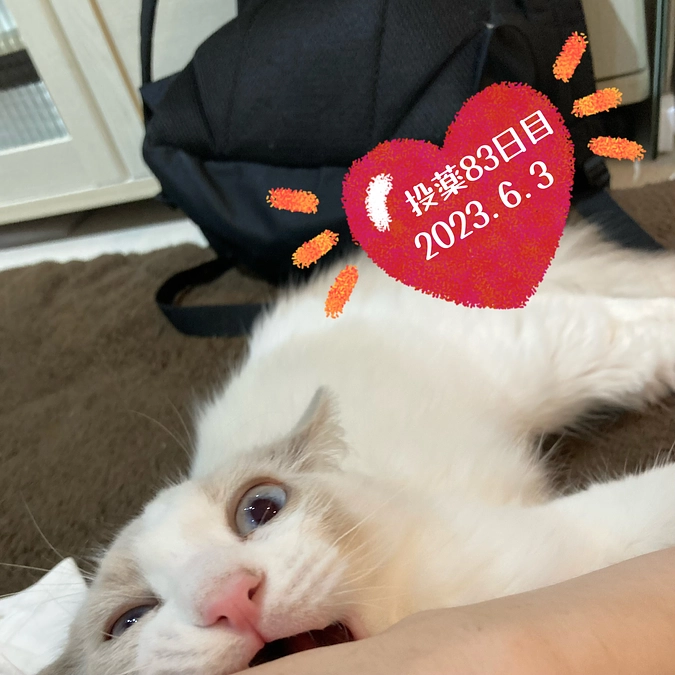 投薬８３日目(2023.6.3)