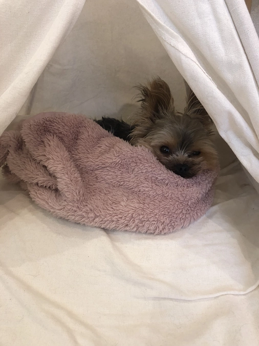 今日の豆太郎とわたし