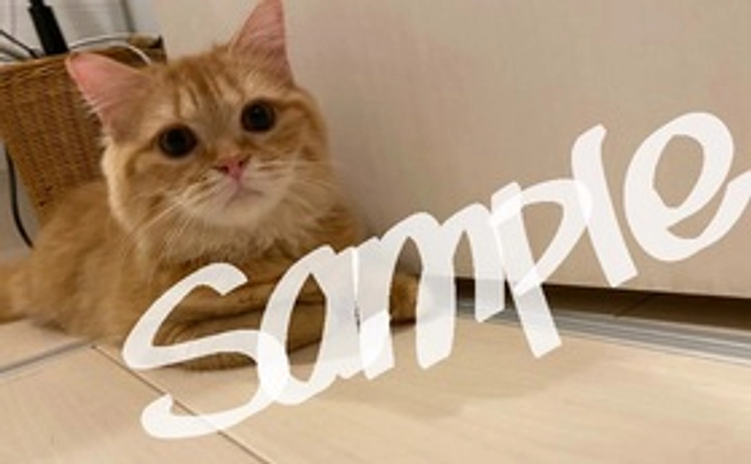 とあ応援セット2