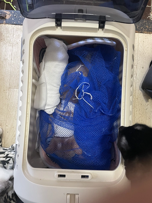 今日は、38回目の治療日