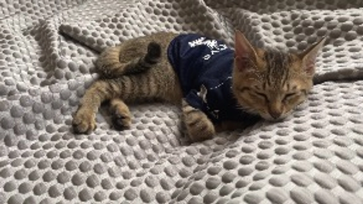 8/5(土)術後5回目の診察