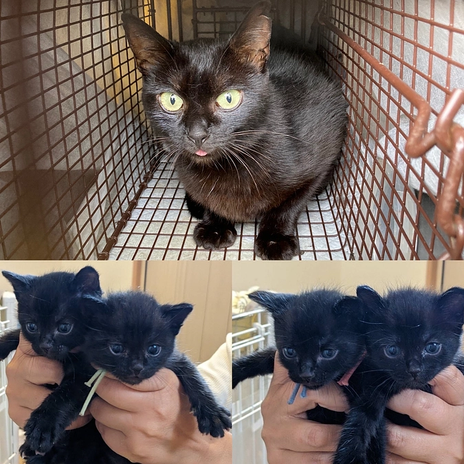 まだまだ、続きますよ！