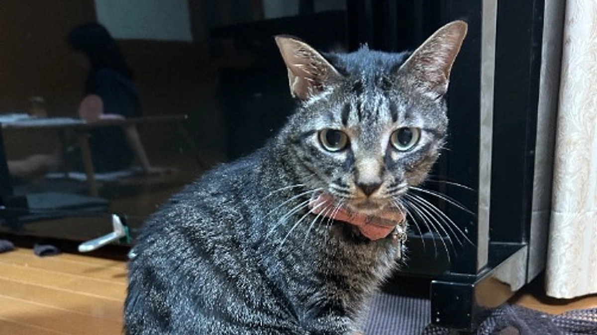 ５０％達成しました。