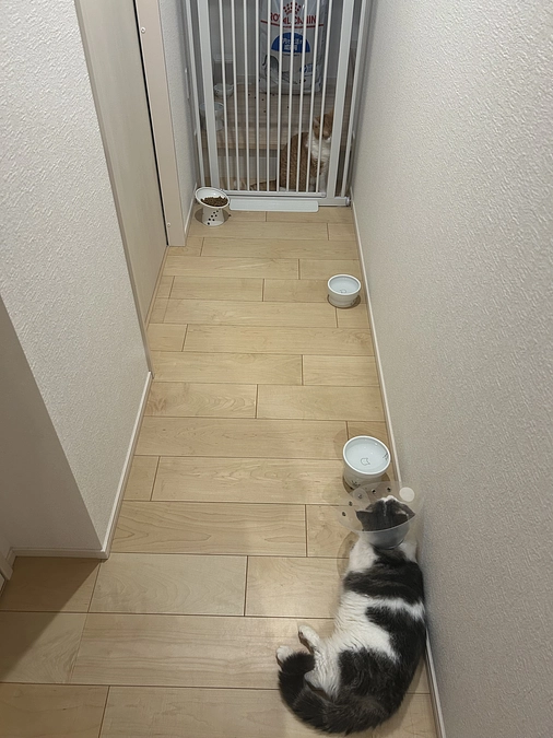 6日ぶりの再会&ご支援への感謝