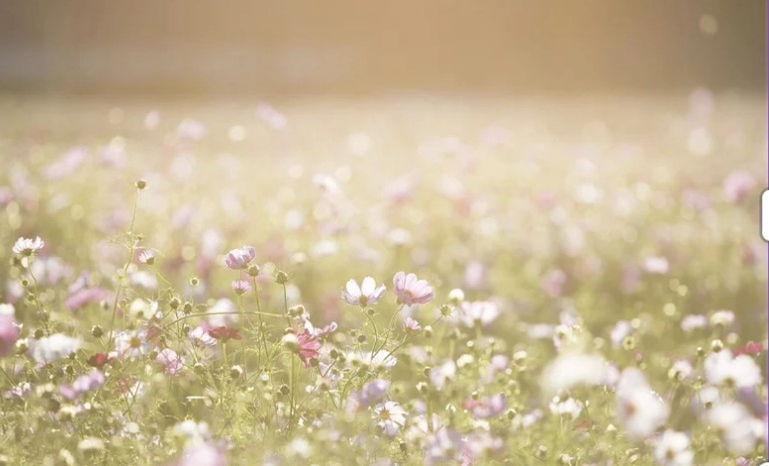 ポロポロと涙が出る