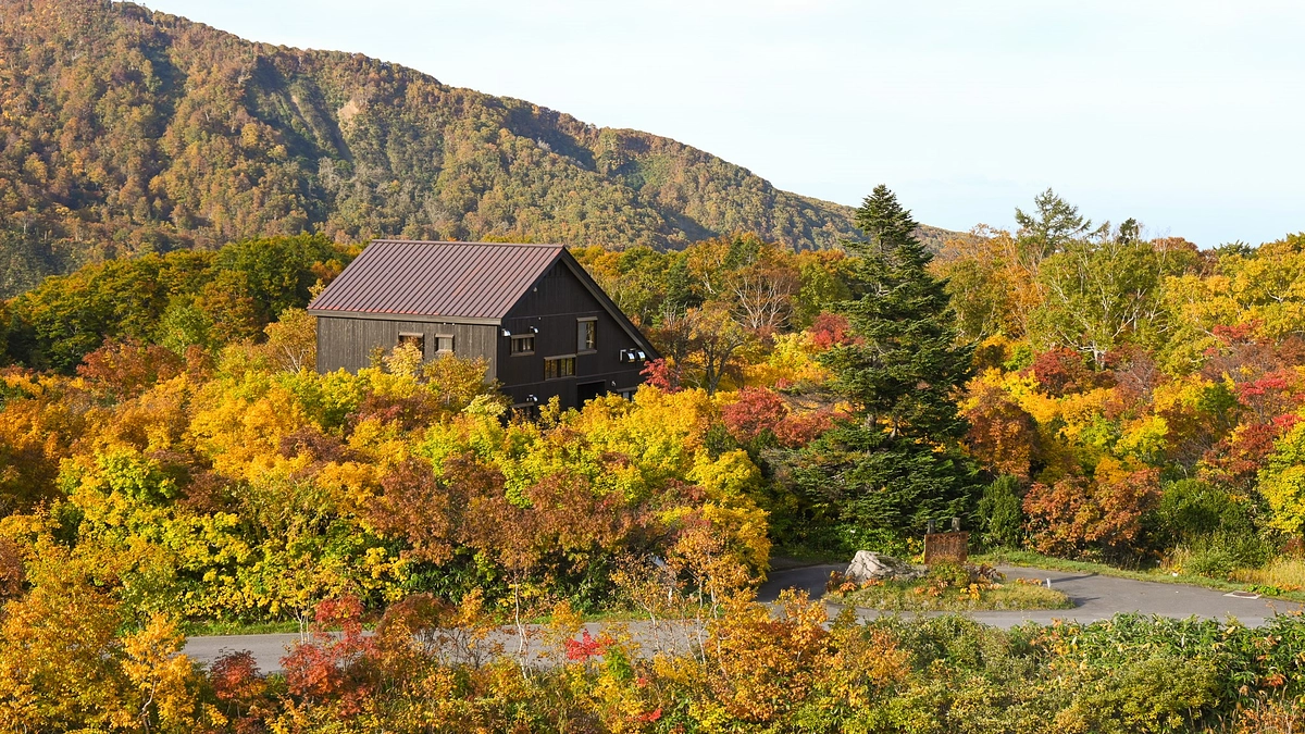 八甲田山分園の紅葉の様子をお伝えします
