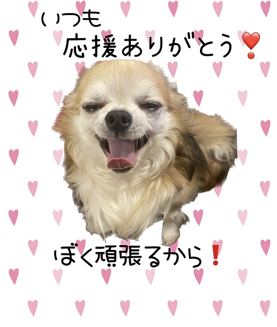 チェロのペースでがんばろう☺️