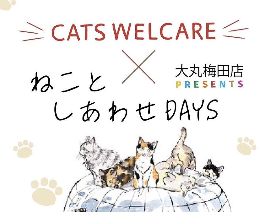 大丸百貨店とのコラボ企画がスタートします！