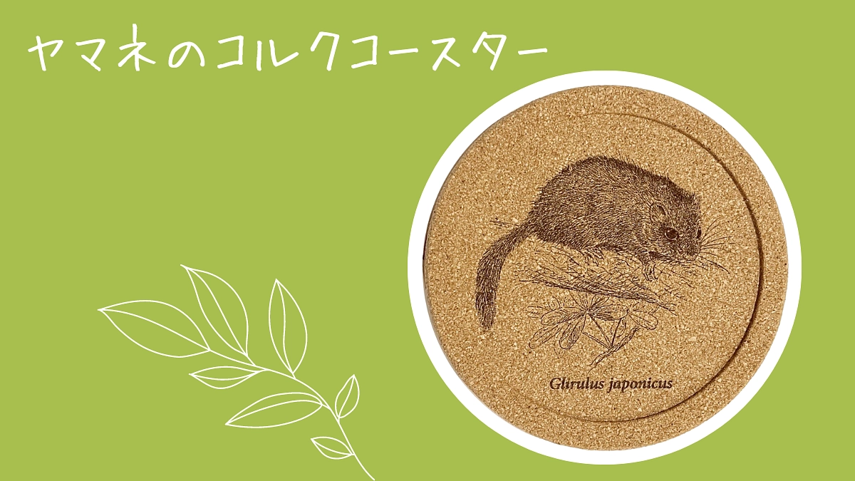 新リターンを追加しました！【グッズで応援】ヤマネのコルクコースター
