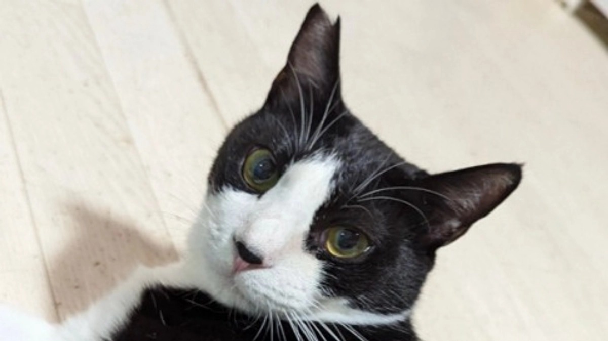 🌻25年　7月のご報告🌻