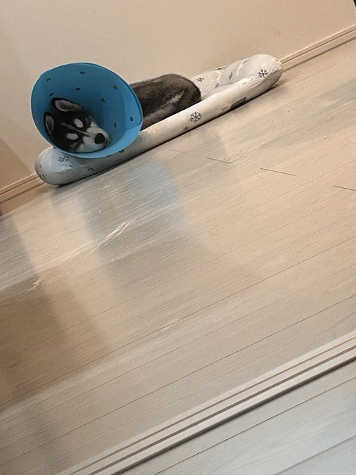 達成率60%超えました！