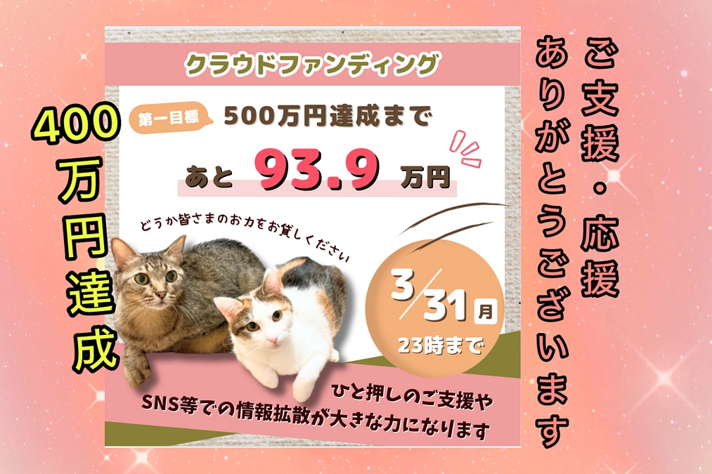 400万円達成しました！ゴール後のために勉強を始めました（3/16　残り2週間）